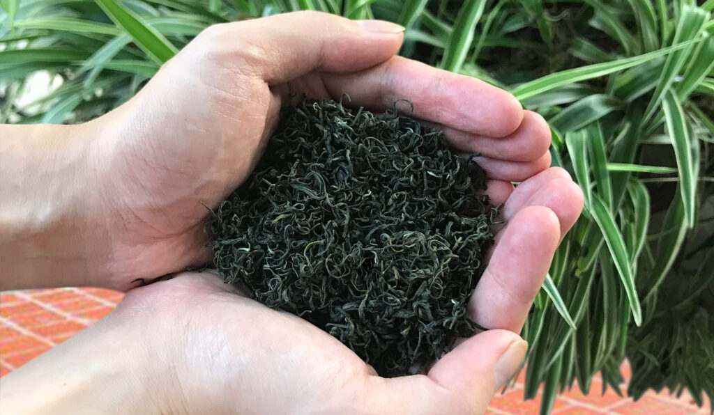 Cánh trà Tân Cương Thái Nguyên loại thượng hạng