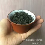 Cánh trà Tân Cương Thái Nguyên