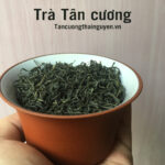 Cánh trà Tân Cương