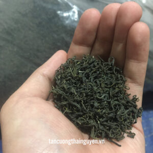 Cánh Trà Thái Nguyên ngon