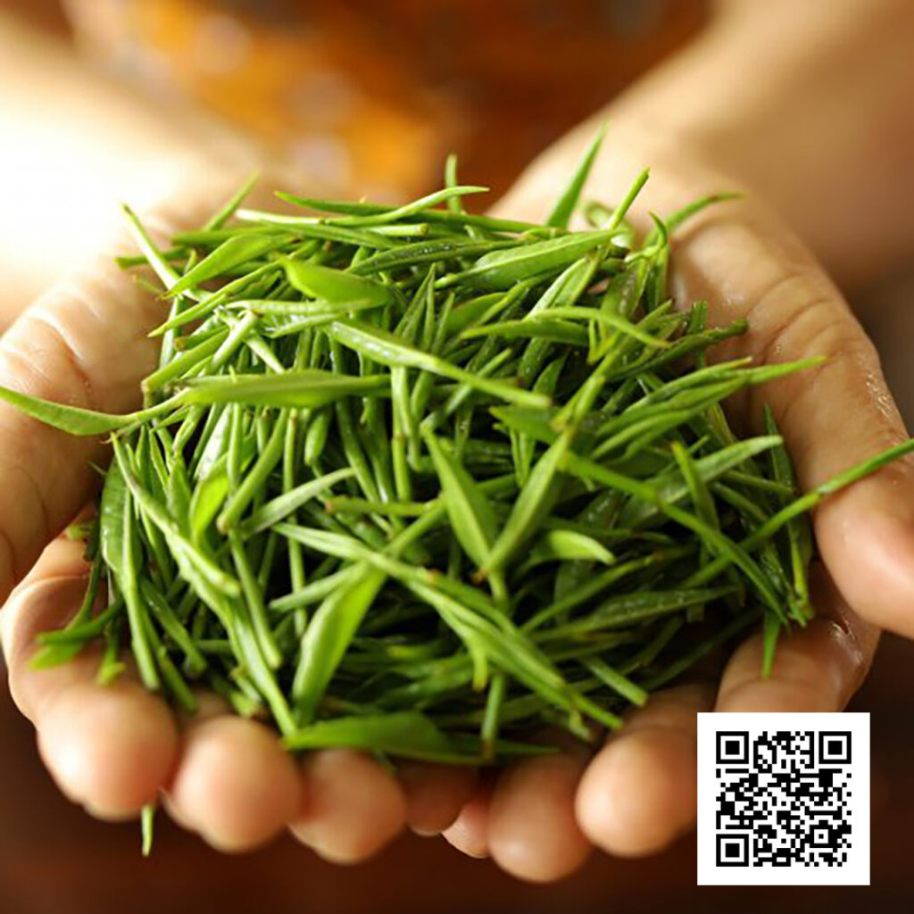 Đọt trà làm trà Đinh